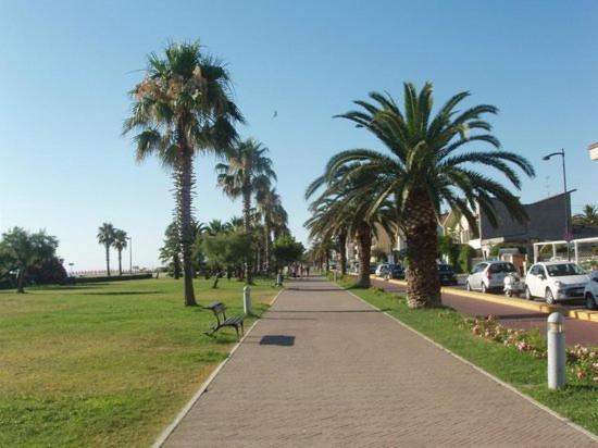 La Conchiglia Διαμέρισμα Porto SantʼElpidio Εξωτερικό φωτογραφία
