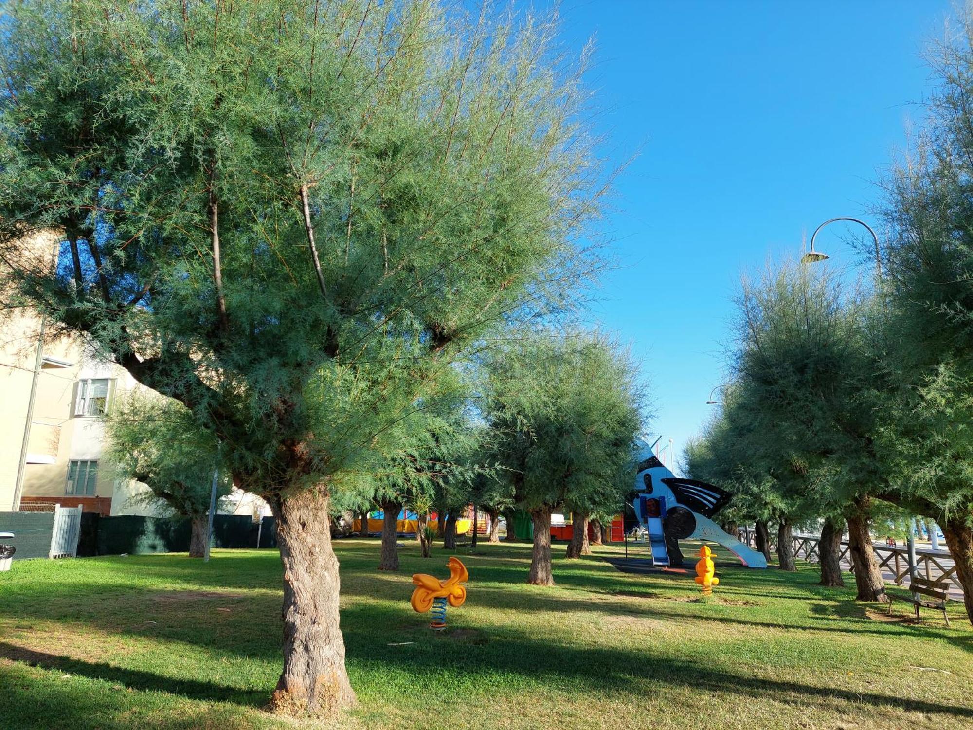 La Conchiglia Διαμέρισμα Porto SantʼElpidio Εξωτερικό φωτογραφία
